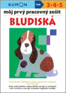 Môj prvý pracovný zošit Bludiská (1. akosť) (Toshihiko Karakida, Yoshiko Murakami, Giovanni K. Moto)