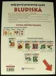 Môj prvý pracovný zošit Bludiská (1. akosť) (Toshihiko Karakida, Yoshiko Murakami, Giovanni K. Moto)