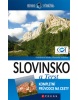 Slovinsko a Terst (David Pogue)