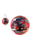 Lopta super cars monster truck nafúknutá v sieťke 14 cm
