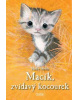 Macík, zvídavý kocourek (Vladimíra Šebová, Michaela Zamari, Vanda Kys, Baja Dolce, Ivica Ďuricová)