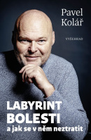 Labyrint bolesti (Pavel Kolář)