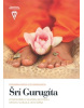 Šrí Gurugíta (1. akosť) (Vishwananda Paramahamsa)