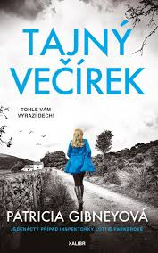 Tajný večírek (Patricia Gibney)