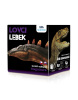 Lovci Lebiek - Stegosaurus (Adela Jureníková)
