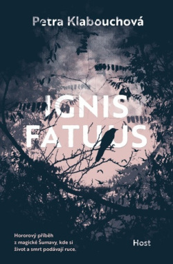 Ignis fatuus (Petra Klabouchová)