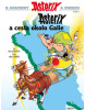 Asterix V - Cesta okolo Galie (René Goscinny)