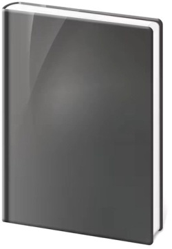 Zápisník Vario A4 linajkový Grey design