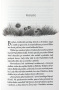 Kráľovná ničoho (Férska sága 3) (Holly Black)