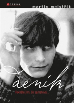 Deník (Martin Mejstřík)