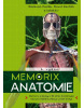 Memorix anatomie (6. vydání) (David Kochlík, Radovan Hudák)
