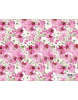Darčekový baliaci papier garden 70 x 100 cm - orchidea (Greg Schneider, Steven Raichlen)