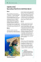 Malta a Gozo - Top 10, 2. vydání