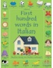 First Hundred Words in Italian (Amery, H.)