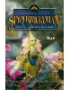 Kronika rodu Spiderwickovcov 3. (Tony DiTerlizzi, Holly Black)
