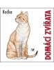 Domácí zvířata - Kočka (Jan Hošek)