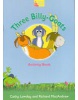Fairy Tales Video Three Billy-Goats Activity Book (Richard MacAndrew, Cathy Lawday, R. Hollyman)