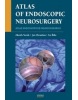 Atlas endoskopické neurochirurgie (Ivo Říha, Jan Chrastina)