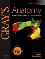 Gray's Anatomy: The Anatomical Basis of Clinical Practice, Expert Consult (Standring, S.)