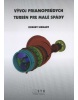 Vývoj priamoprúdych turbín pre malé spády (Robert Sikhart)