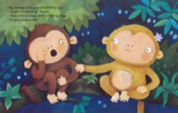 Night Monkey, Day Monkey (Book & CD) (J. Donaldson)