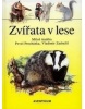 Zvířata v lese (Jakub Přibyl, Michal Šetka, Richard Süss, Roman Novotný)