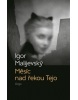 Měsíc nad řekou Tejo (Igor Malijevský)