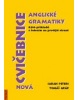 Nová cvičebnice anglické gramatiky (František Kotleta)