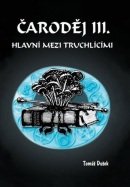 Čaroděj III. - Hlavní mezi truchlícími (Tomáš Dušek)