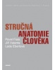 Stručná anatomie člověka (Pavel Fiala, Lada Eberlová, Jiří Valenta)