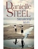 Stratený syn (Danielle Steel)