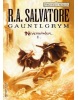Gauntlgrym (R.A. Salvatore)
