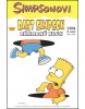Bart Simpson Záhadný kluk (Groening Matt)