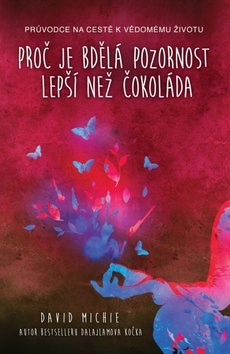 Proč je bdělá pozornost lepší než čokoláda (David Michie)