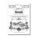 Kamýk (Rostislav Vojkovský)
