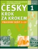 Česky krok za krokem 1 (Lída Holá, Petra Bulejčíková, Silvie Převrátilová)