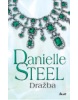 Dražba (Danielle Steel)