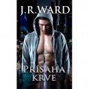 Přísaha krve (Jessica R. Ward)