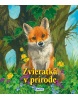 Zvieratká v prírode (1. akosť)