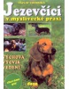 Jezevčíci v myslivecké praxi (Václav Vochozka, Oldřich Tripes)