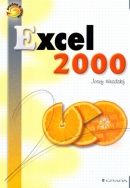Excel 2000 (Josef Hradský)
