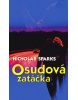 Osudová zatáčka (Nicholas Sparks)