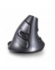 SPIRE Ergonomic Mouse GX CG-DLM618GX-2.4G