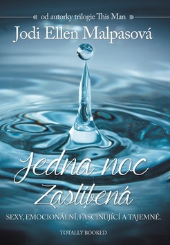 Jedna noc Zaslíbená (1. akosť) (Jodi Ellen Malpas)
