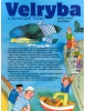 Velryba a pruhované tričko (Jiří Žáček, Marie Tichá)