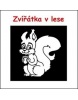 Zvířátka v lese (Jana Balonová, Tomáš Pekárek)
