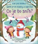 Co je to sníh? (Katie Daynes, Marta Álvarez Miguéns)