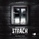 Strach - audiokniha (Jozef Karika)