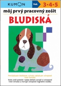 Môj prvý pracovný zošit Bludiská (Toshihiko Karakida, Yoshiko Murakami, Giovanni K. Moto)