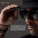 Shaggy: Hot Shot 2020 - CD/Deluxe (SHAGGY)